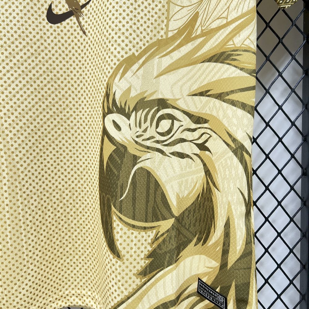 BRAZIL - 2025 CONCEPT JERSEY