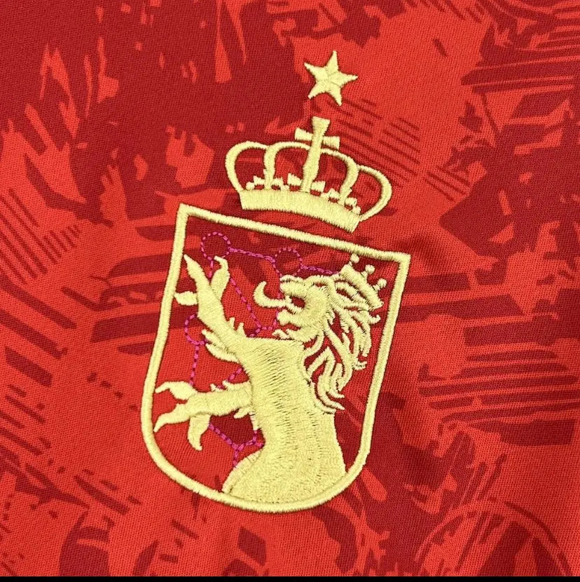 Maillot espagne 2024/2025