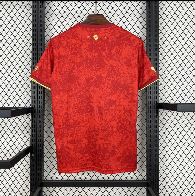 Maillot espagne 2024/2025