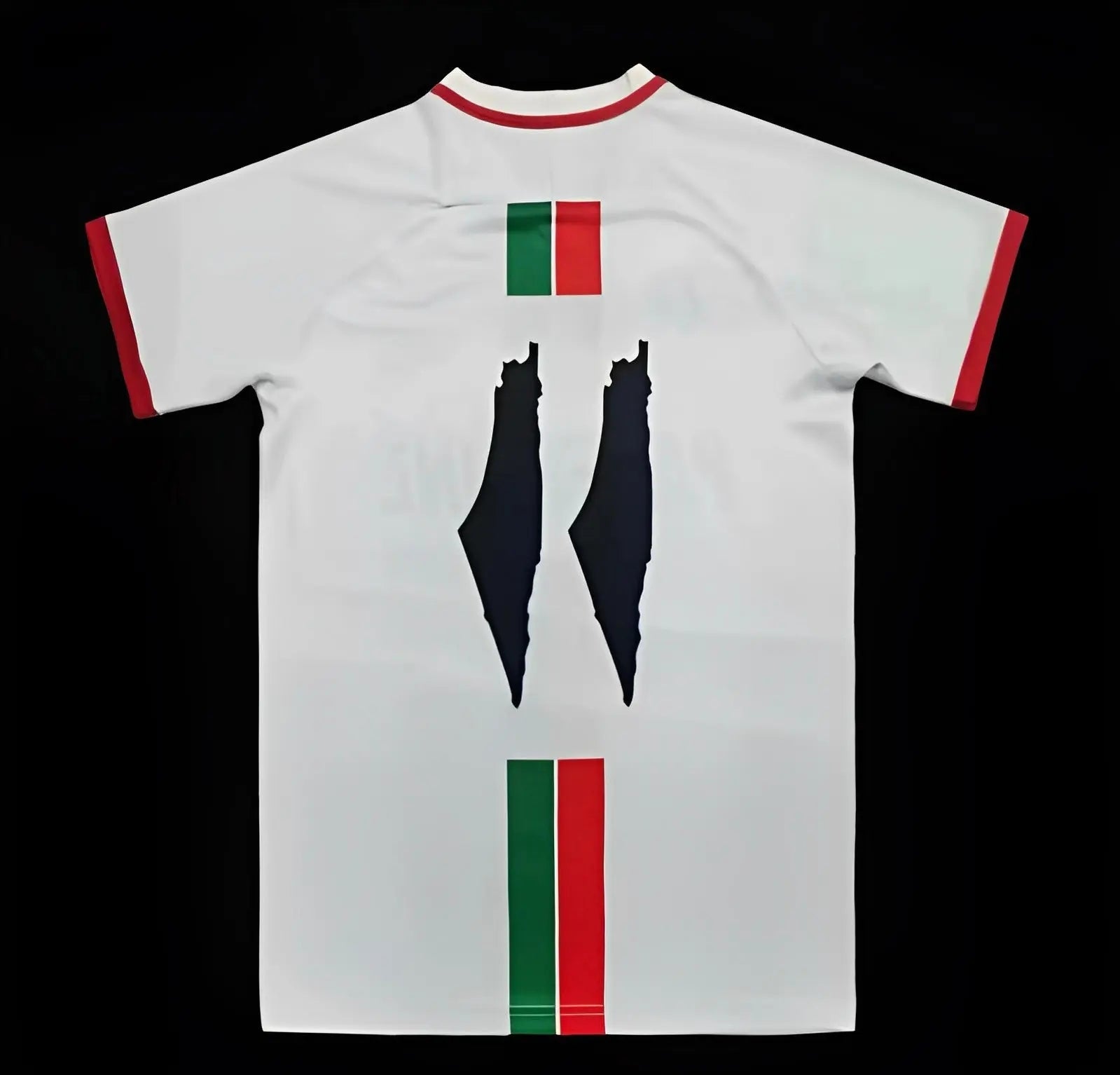 PALESTINE - MAILLOT CONCEPT BLANC 23/24