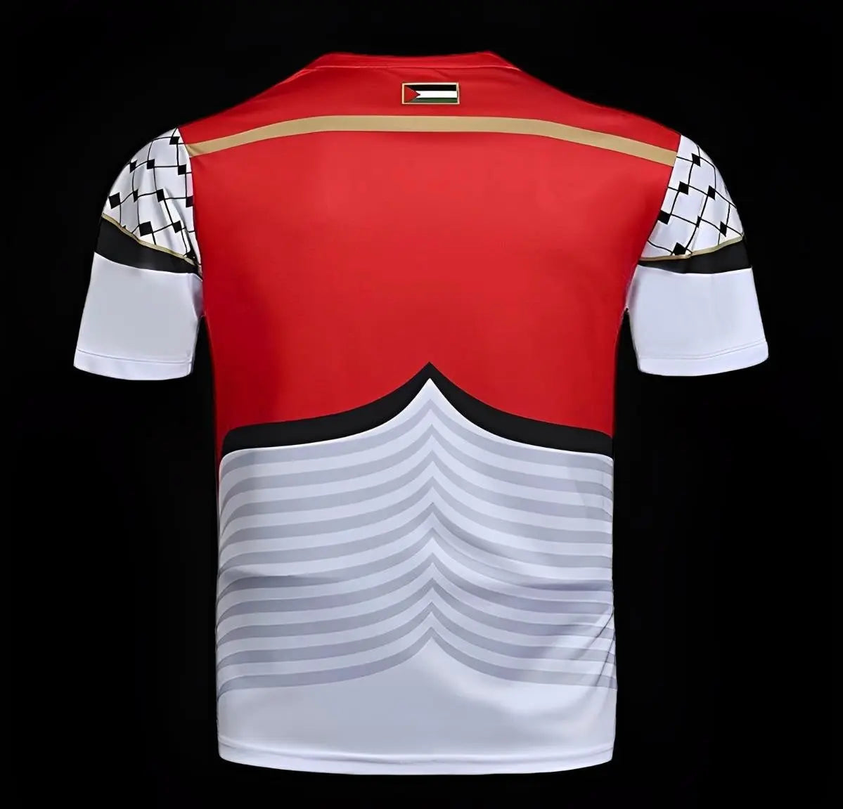 PALESTINE - MAILLOT CONCEPT BLANC 22/23