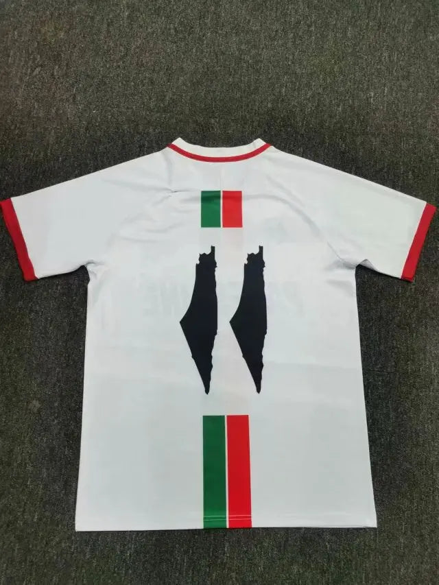 2024 Maillot Adulte Entraînement PALESTINE Blanc
