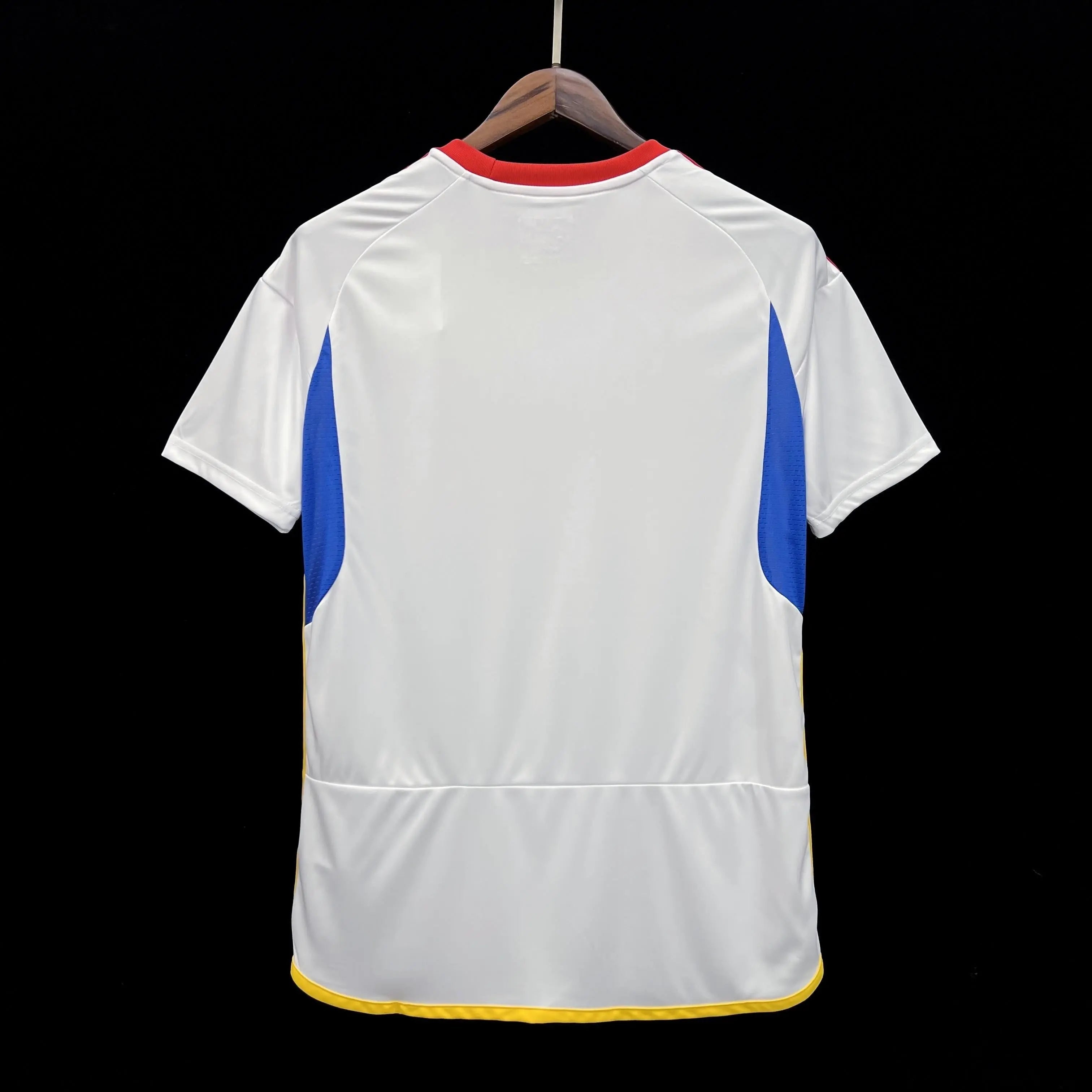 VENEZUELA - MAILLOT CONCEPT BLANC 24/25