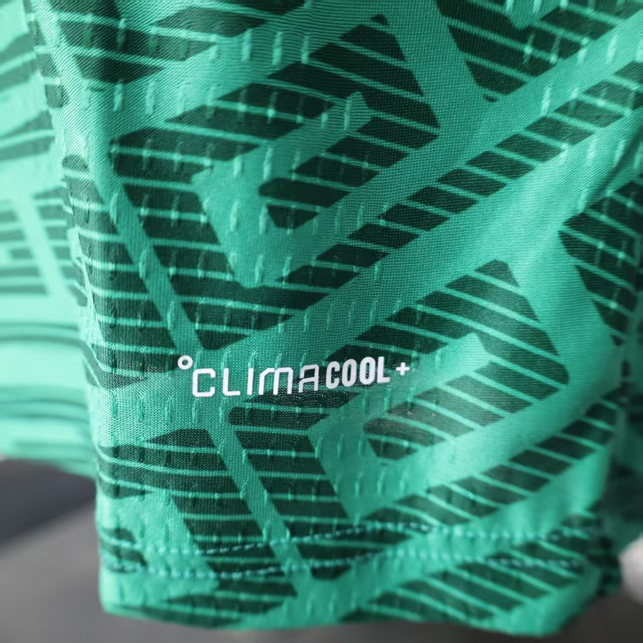 MÉXIQUE - MAILLOT DOMICILE JOUEUR MANCHES LONGUES 2026