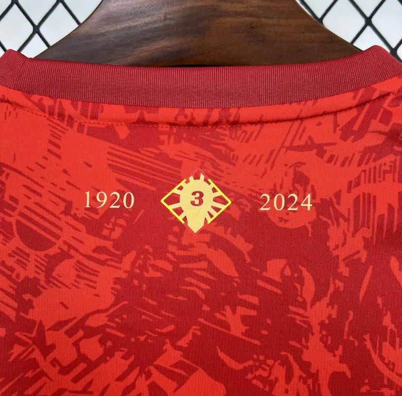 Maillot espagne 2024/2025