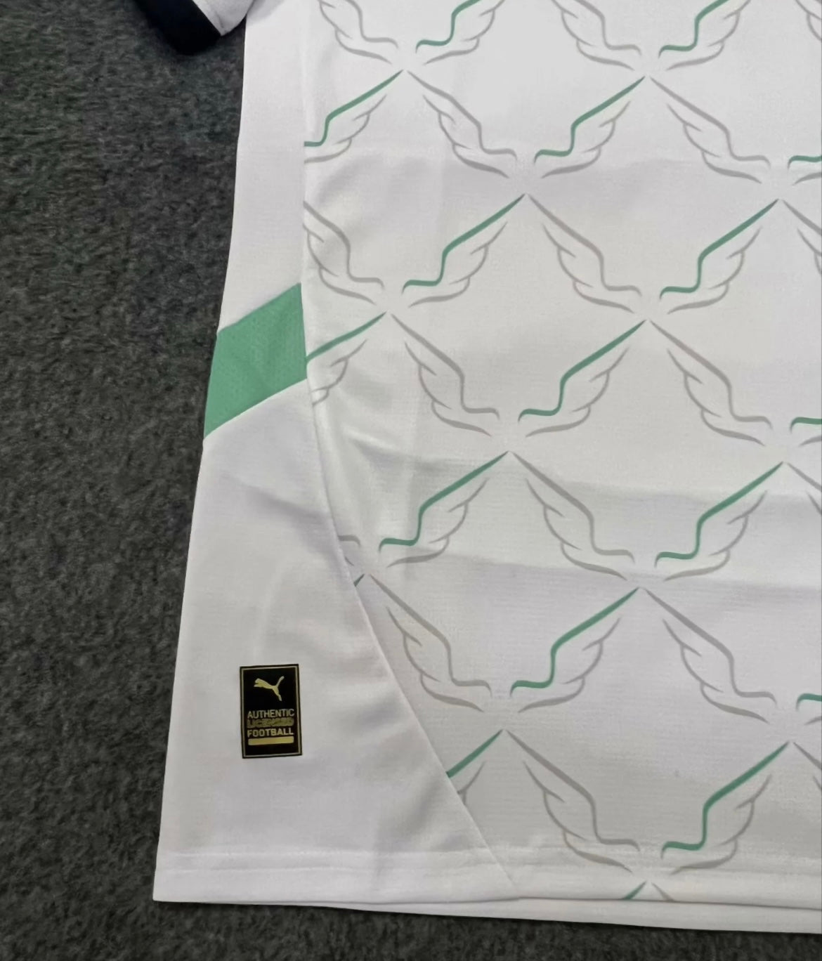 AUTRICHE - MAILLOT EXTÉRIEUR 2024