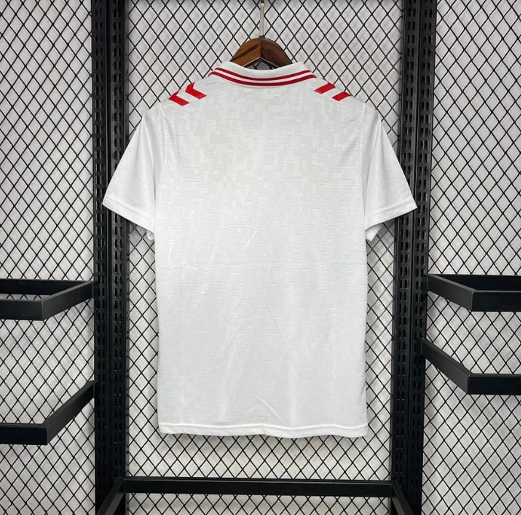 DANEMARK - MAILLOT EXTÉRIEUR 2024