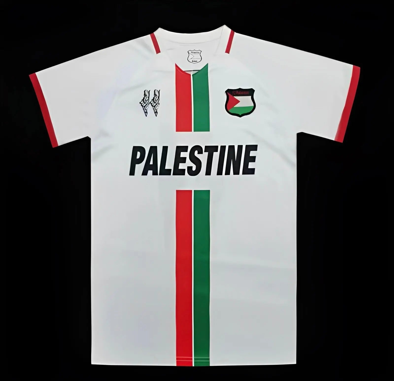 PALESTINE - MAILLOT CONCEPT BLANC 23/24