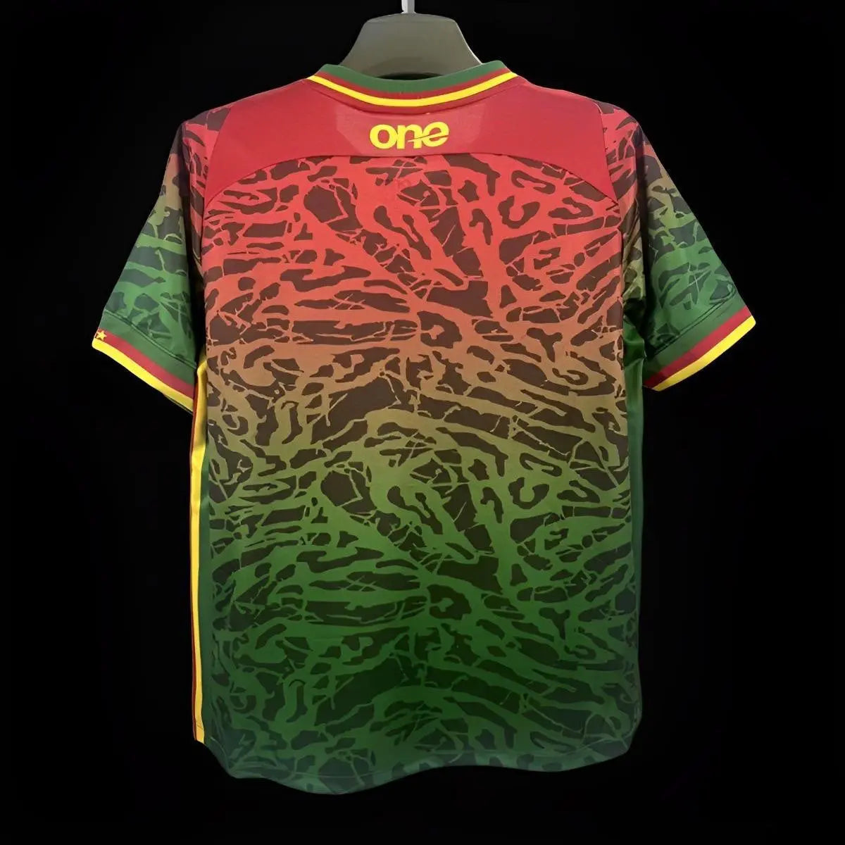 CAMEROUN - MAILLOT ENTRAINEMENT 23/24