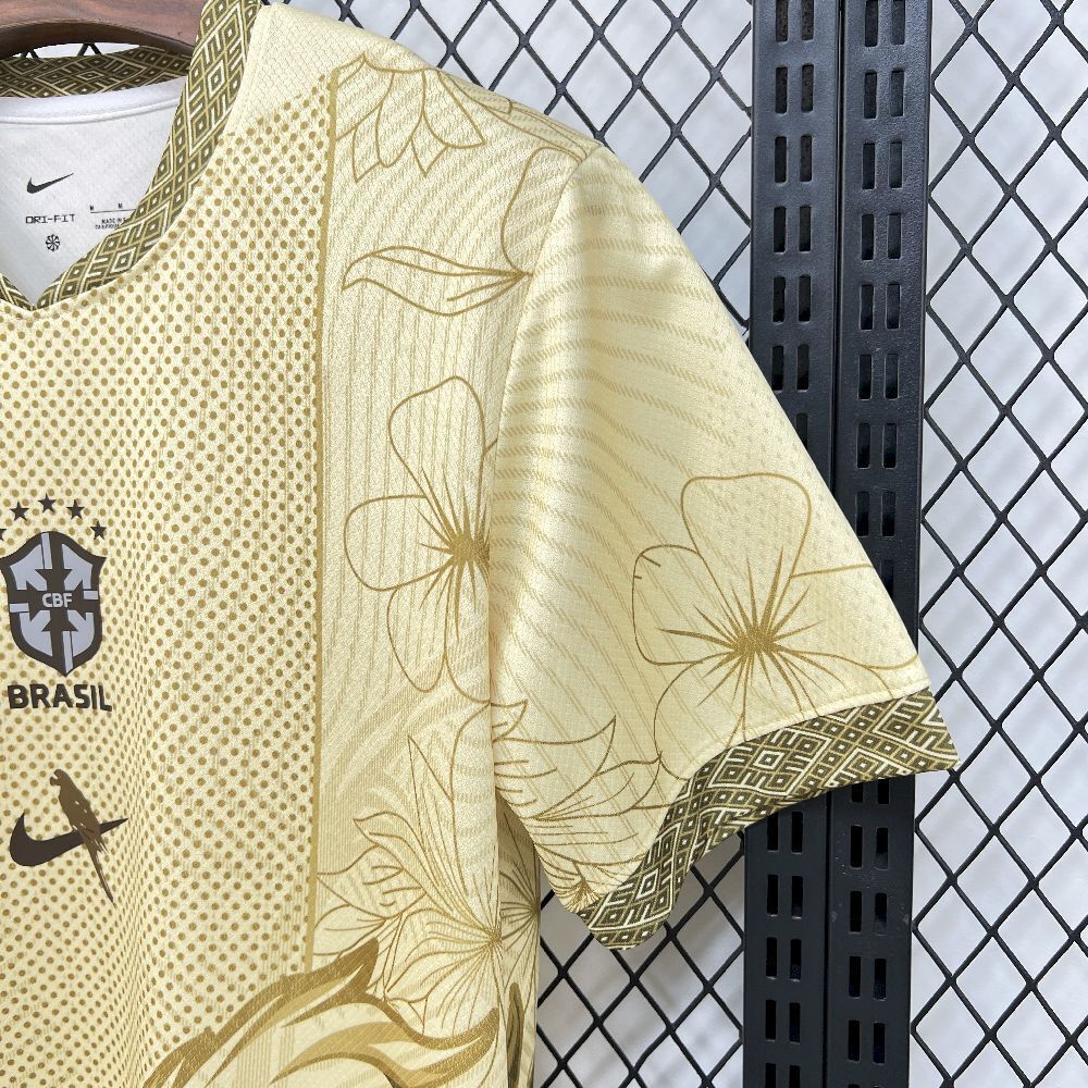 BRAZIL - 2025 CONCEPT JERSEY