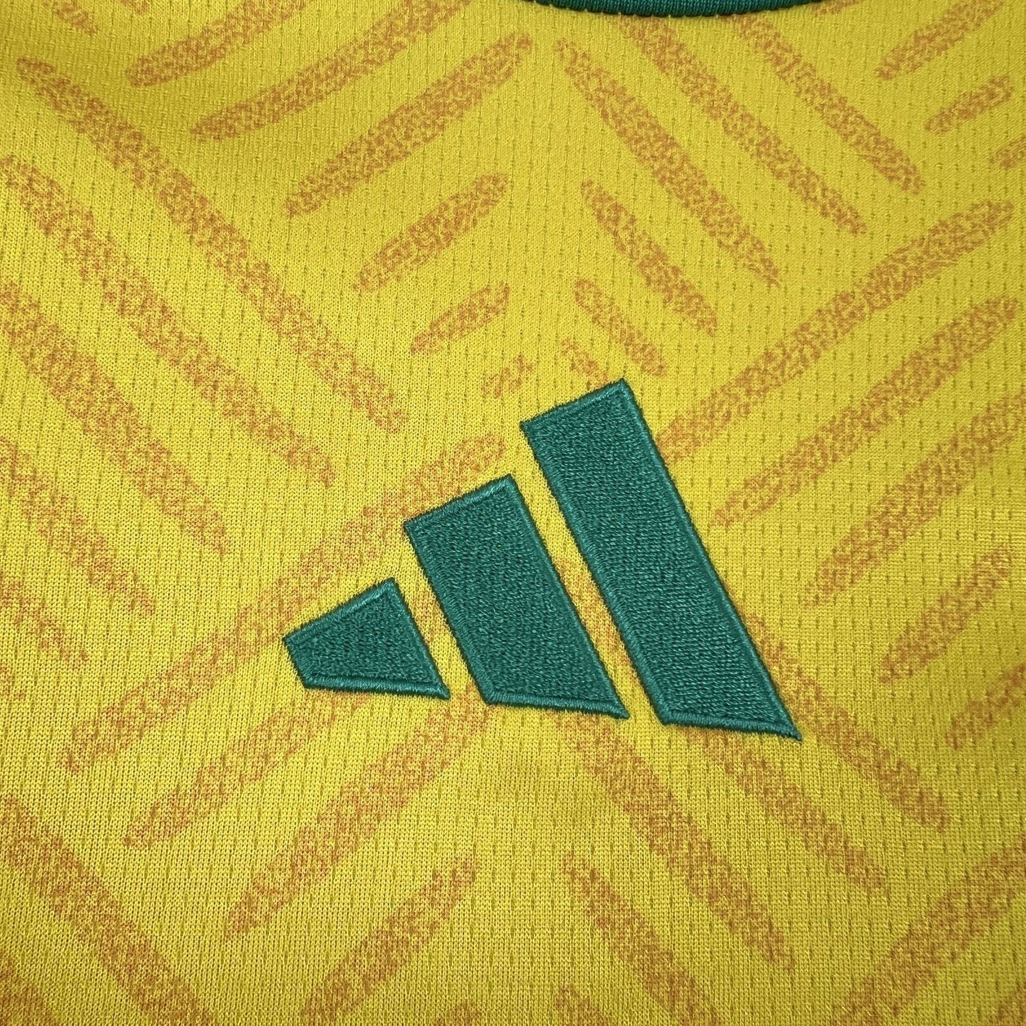 AFRIQUE DU SUD - MAILLOT DOMICILE 2026