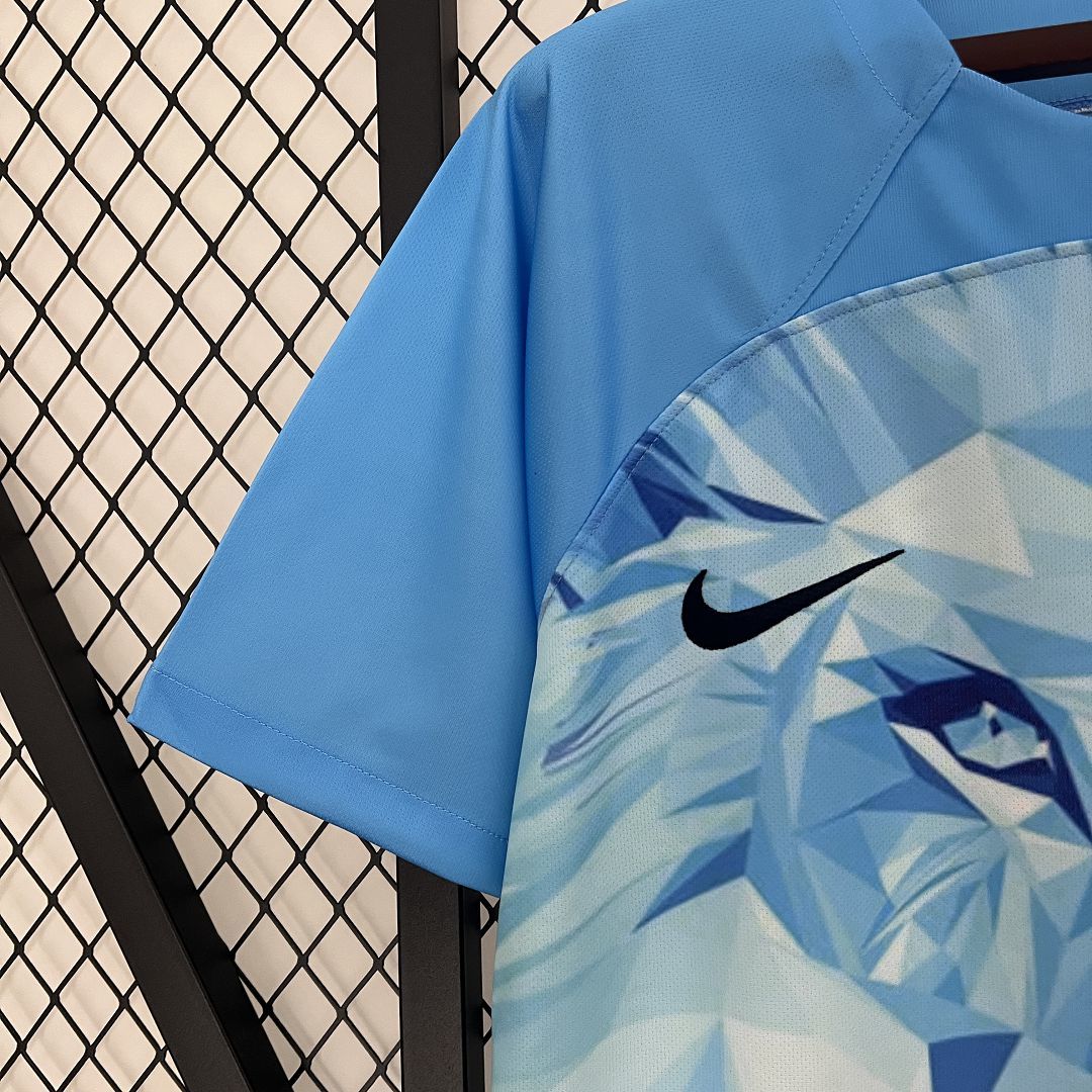 PAYS BAS - MAILLOT CONCEPT 2024