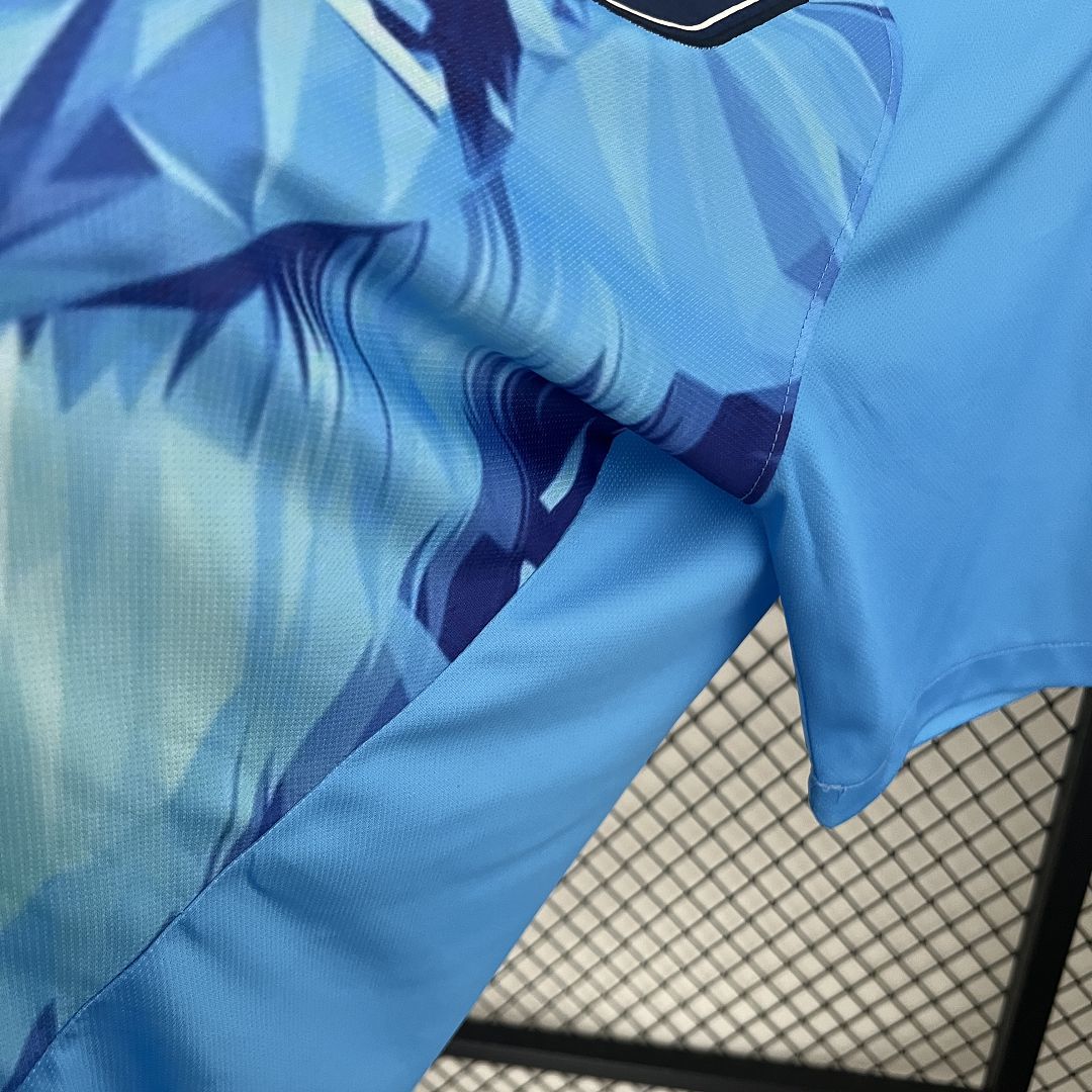 PAYS BAS - MAILLOT CONCEPT 2024
